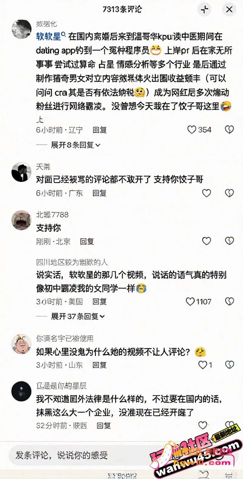 温哥华网红软软星因广告纠纷网暴商家,掉粉40万彻底塌房
