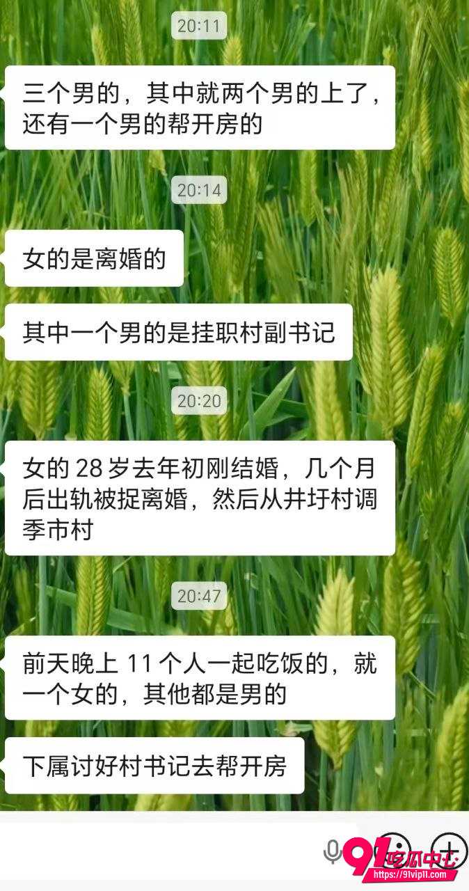 江苏靖江村书记7 江苏靖江村书记7