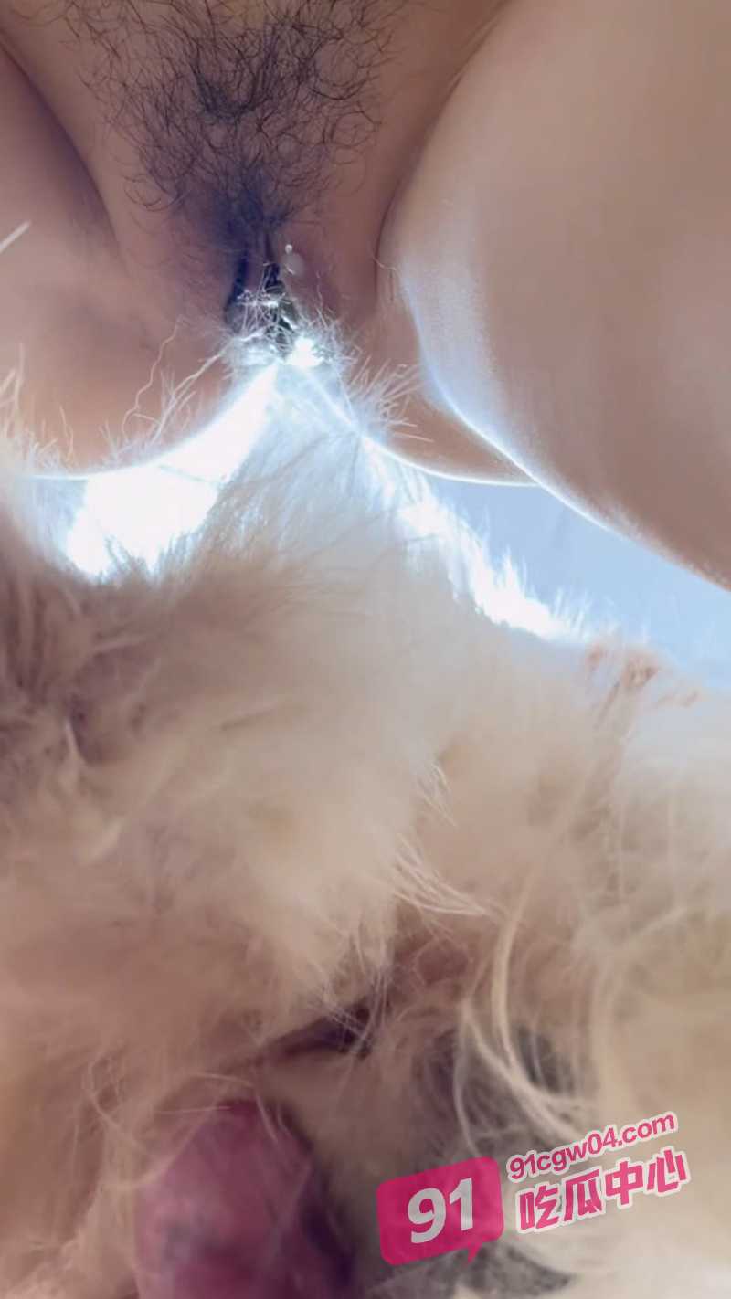 香香公主兽交合集（五）金毛性爱最新完整版来袭 小肥穴被金毛大狗先舔后内射！ 配图8